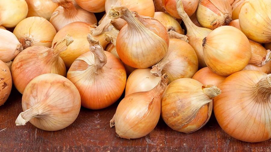 Oignons: l’exportation désormais réglementée