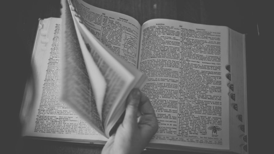 «Parasocial», mot de l'année pour le dictionnaire de Cambridge