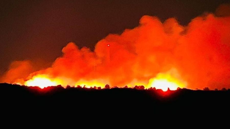 Plus de 50 mines explosent au sud de Naqoura