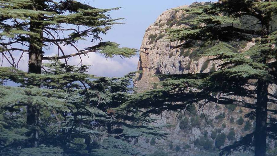 Réserves naturelles: entrée gratuite le 10 mars