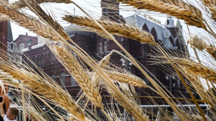Céréales: Moscou dénonce les possibles exportations par la mer Noire