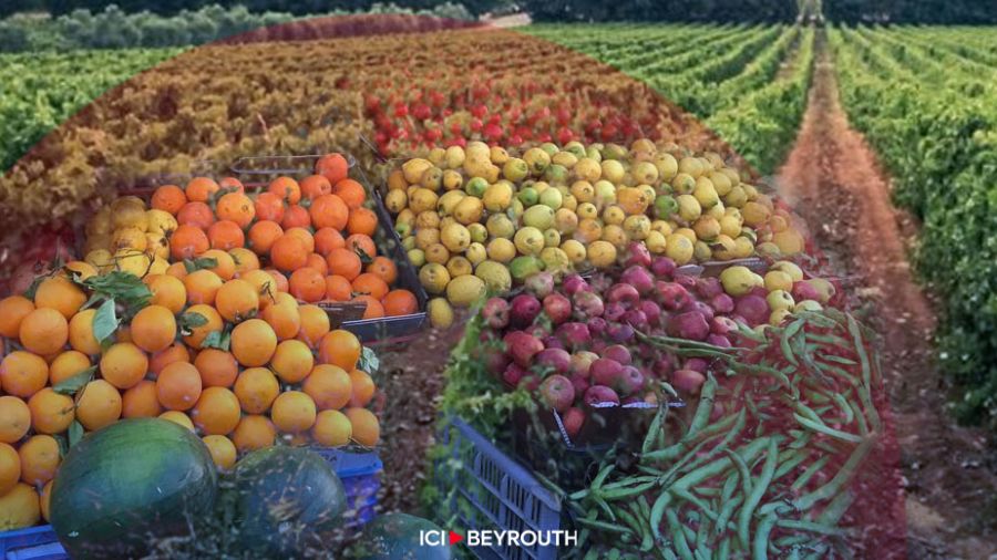Saison des agri-crises