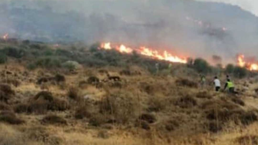 Un incendie effroyable aux alentours de Hasrout