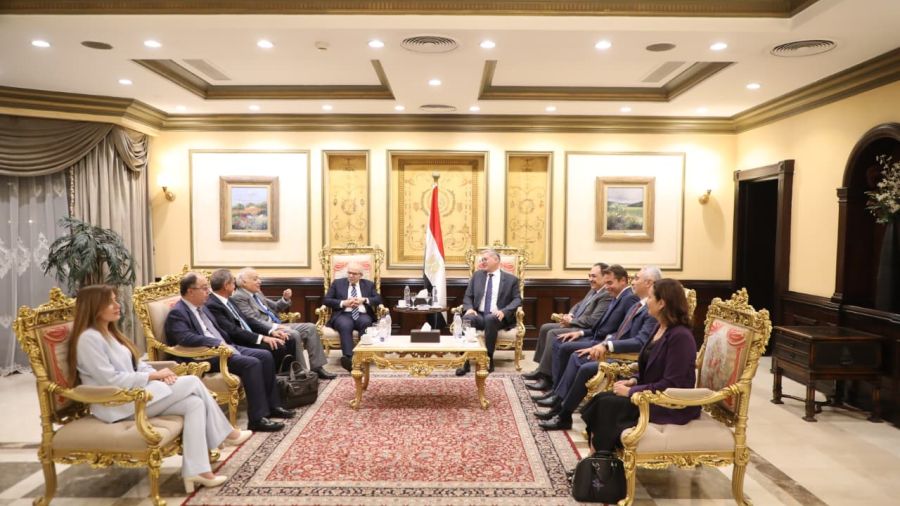 Salam en visite officielle au Caire