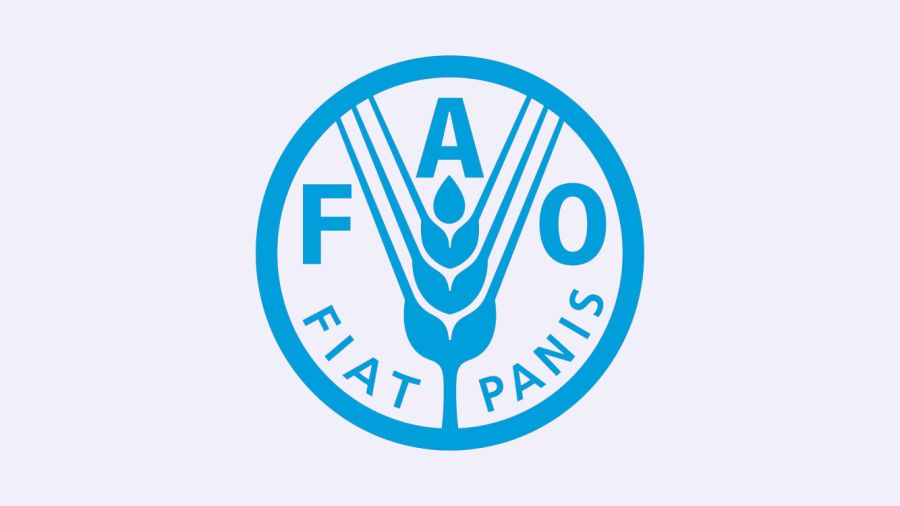 Les prix alimentaires mondiaux ont baissé de 1,6% en janvier, selon la FAO