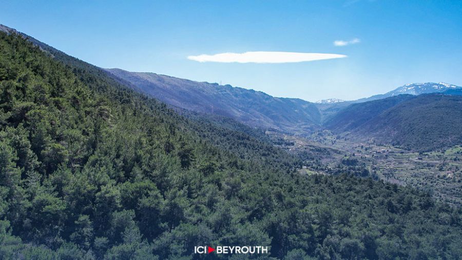 Destructions des forêts du Akkar, l’État aux abonnés absents