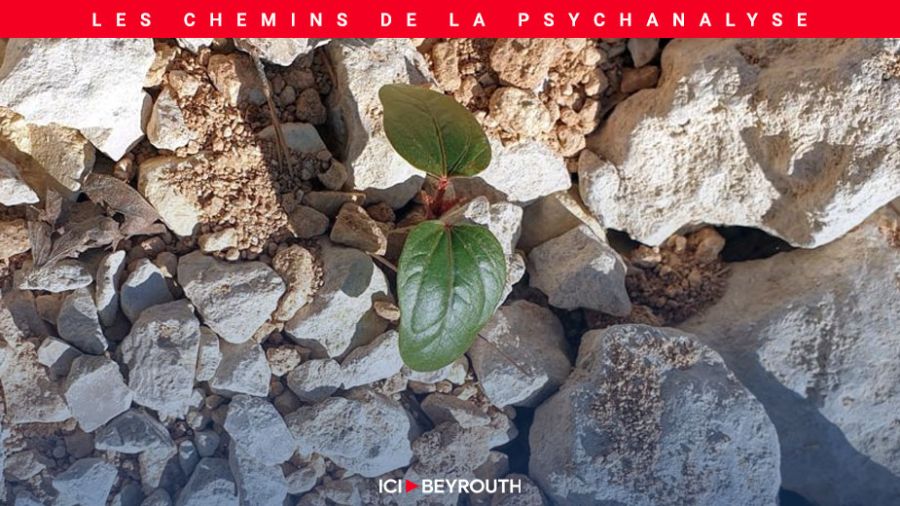 Les troubles des conduites alimentaires - (7) Soins et thérapeutique