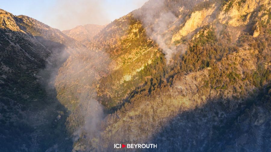 Déforestation au Akkar: les joyaux du Liban en péril