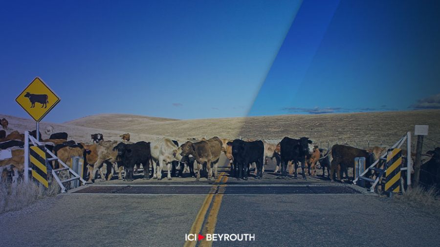 Les «vaches sacrées» de notre économie