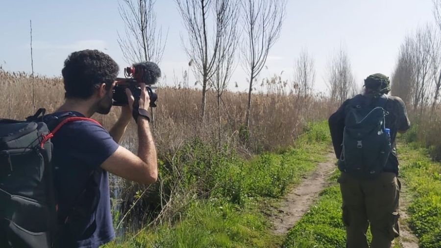 «Shift»: voyage intérieur au cœur des vols d’oiseaux