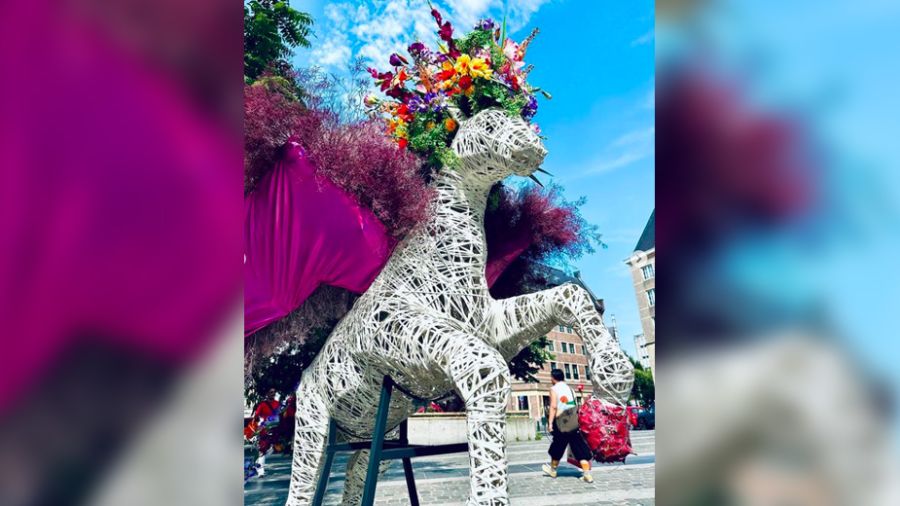 Diversité en fleurs sur la Grand-Place de Bruxelles