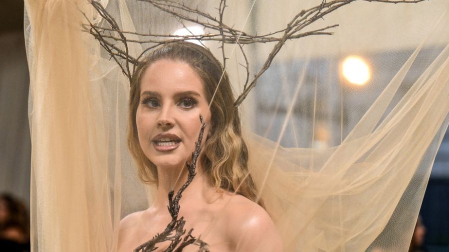 Lana Del Rey enflamme Rock en Seine: soirée pop et glamour