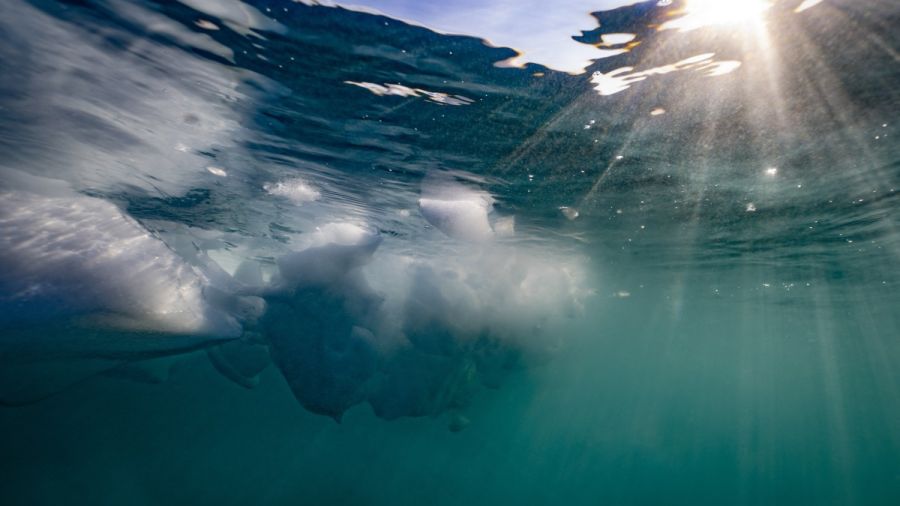 Les océans mondiaux ont atteint un pic de chaleur en juin