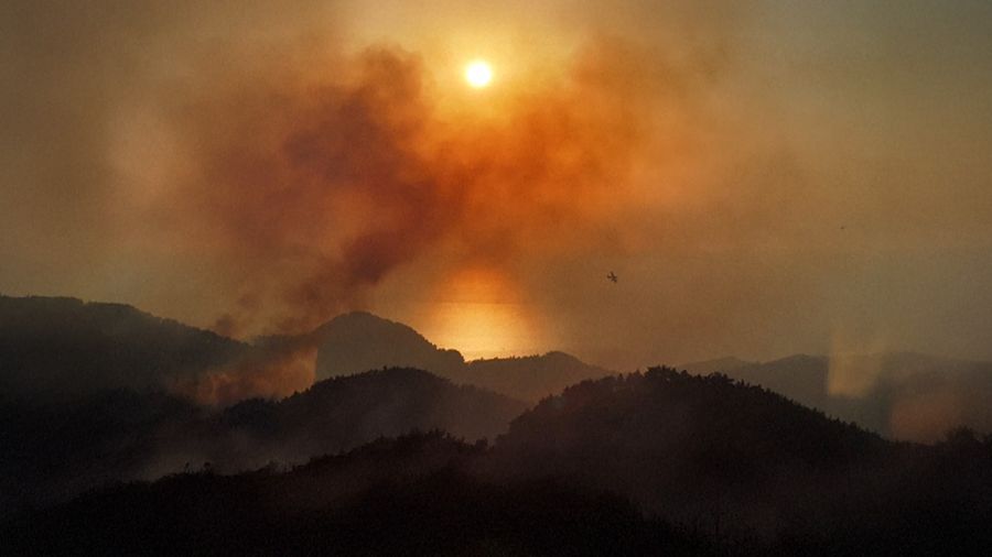 Catastrophe environnementale: des incendies ravagent la Syrie et la Turquie