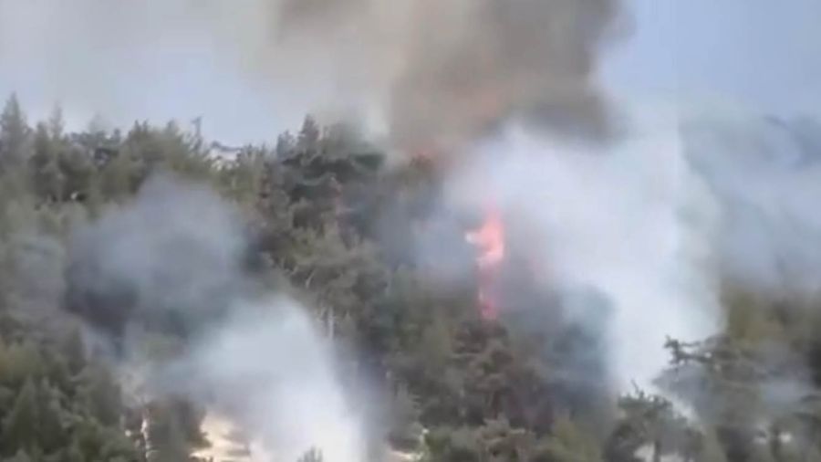 Un incendie ravage la forêt de Qammouaa, joyau naturel historique du Liban