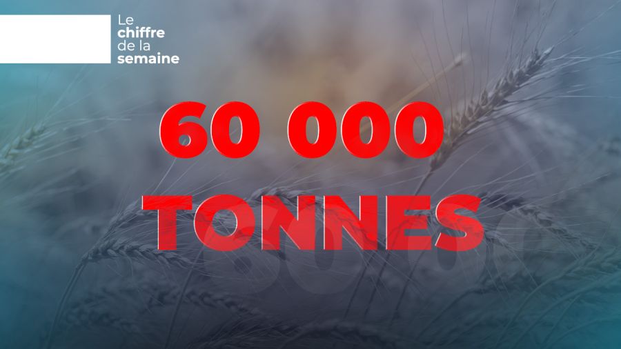 Pénurie de blé au Liban : la peur est là, les stocks aussi