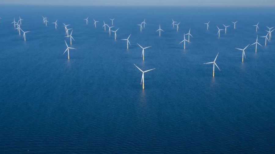 Réoxygénation de la Baltique: un plan pour sauver les écosystèmes marins