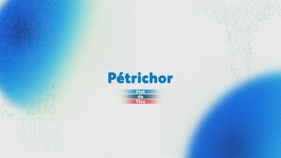 «Pétrichor»: quand la pluie réveille la mémoire de la terre