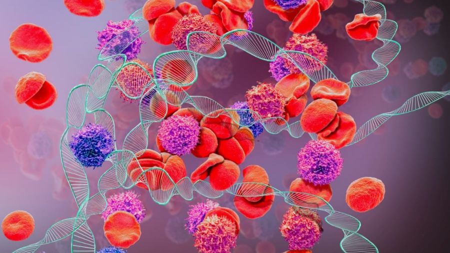 Hémophilie au Liban: quand se soigner devient un combat