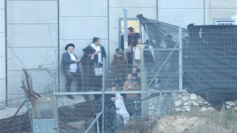 Des juifs ultra-orthodoxes entrent en territoire libanais