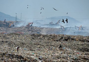 Environnement pollution