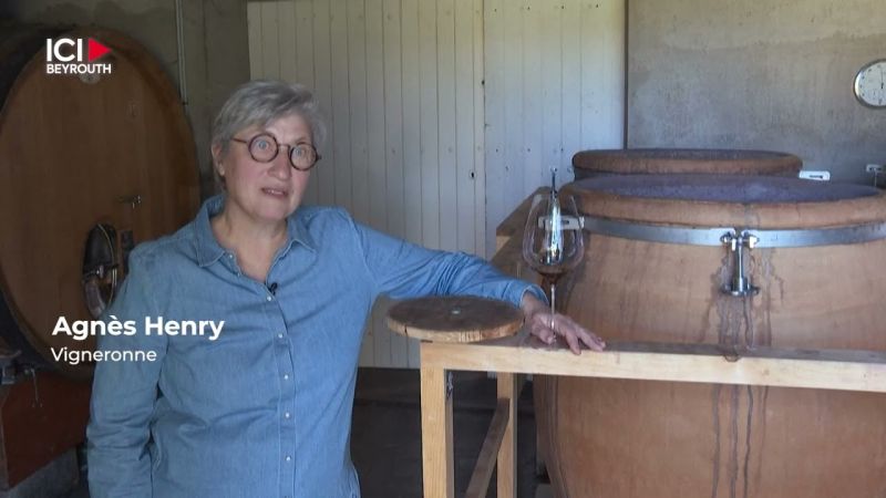 Les vins en amphore trouvent leur place dans les caves françaises