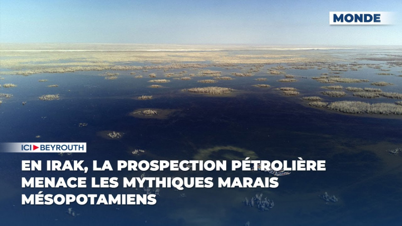 En Irak, la prospection pétrolière menace les mythiques marais mésopotamiens