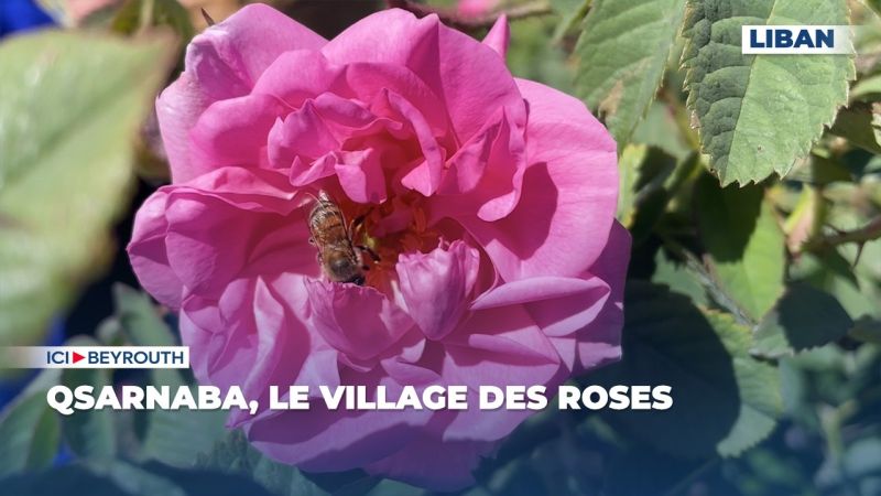 Qsarnaba, le village des roses 