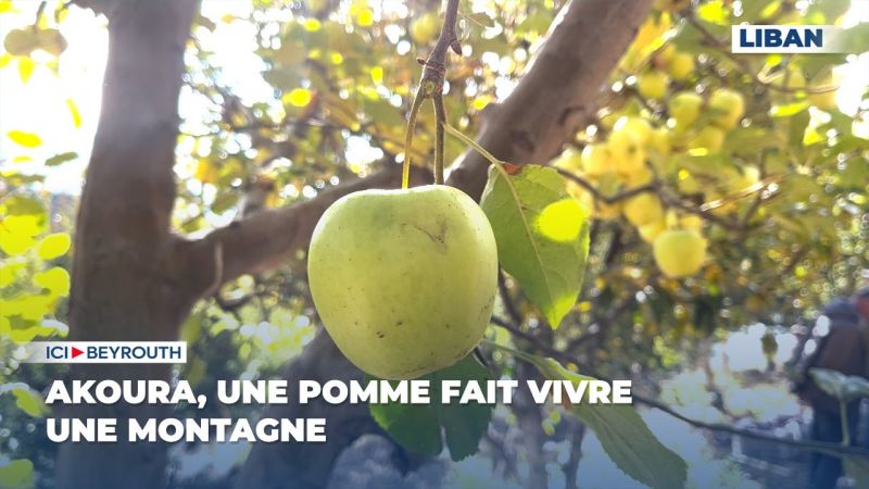 Akoura, une pomme fait vivre une montagne
