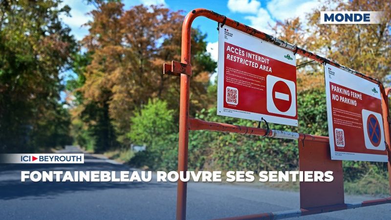 Fontainebleau rouvre ses sentiers