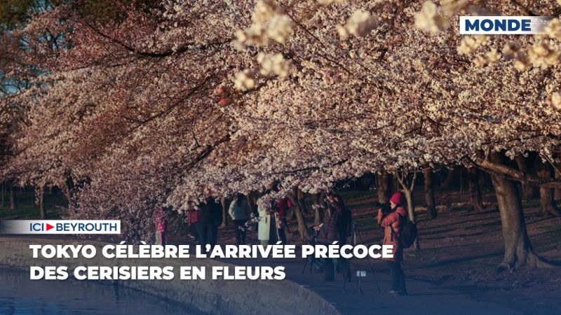 Tokyo célèbre l’arrivée précoce des cerisiers en fleurs