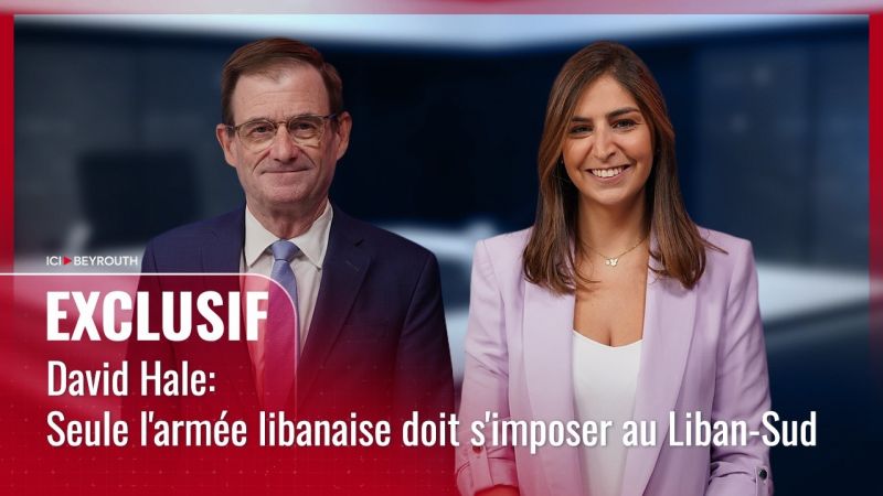 David Hale: Seule l'armée libanaise doit s'imposer au Liban-Sud