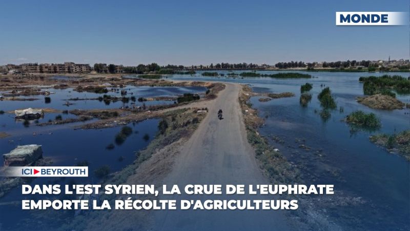 Dans l'est syrien, la crue de l'Euphrate emporte la récolte d'agriculteurs