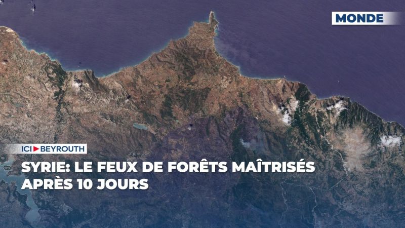Syrie: le feux de forêts maîtrisés après 10 jours