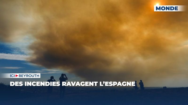 Plonger dans la glace pour prédire notre avenir