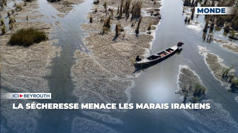 La sécheresse menace les marais irakiens