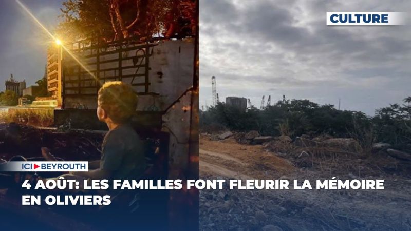 4 août: les familles font fleurir la mémoire en oliviers