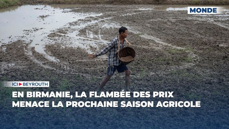 En Birmanie, la flambée des prix menace la prochaine saison agricole