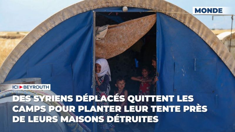 Des Syriens déplacés quittent les camps pour planter leur tente près de leurs maisons détruites
