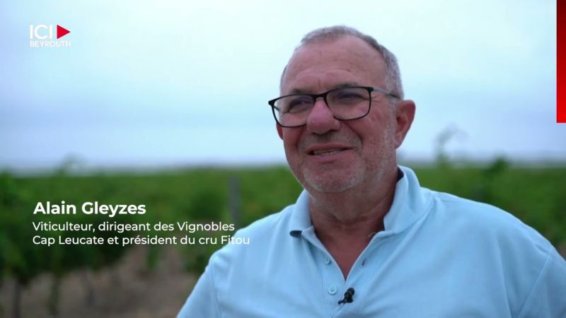 Canicule et sécheresse: les vignobles français en péril