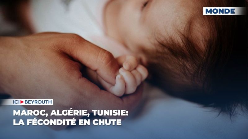 Maroc, Algérie, Tunisie: la fécondité en chute
