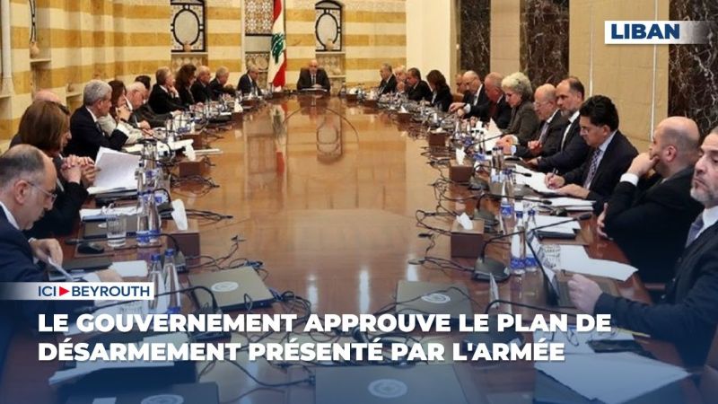 Le gouvernement approuve le plan de désarmement présenté par l'armée