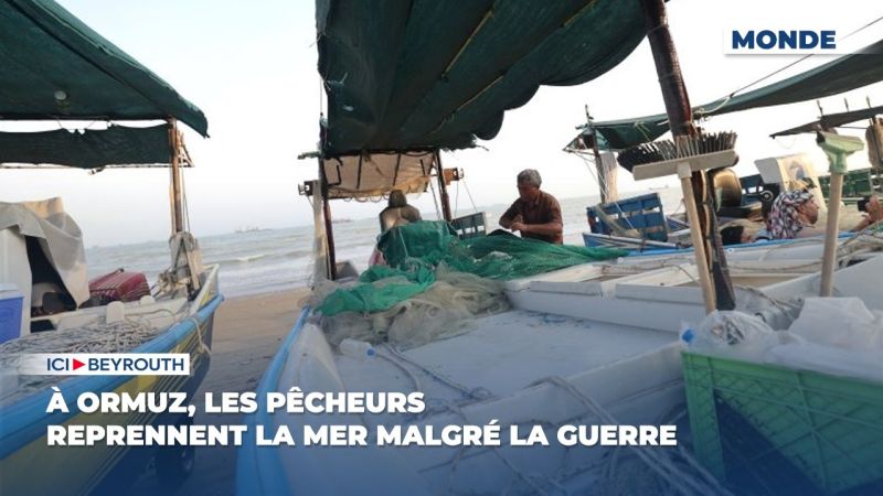 À Ormuz, les pêcheurs reprennent la mer malgré la guerre