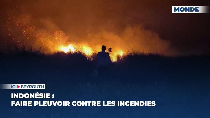 Indonésie : faire pleuvoir contre les incendies