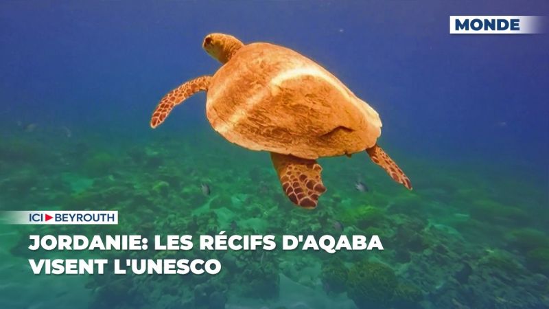 Jordanie: les récifs d'Aqaba visent l'UNESCO