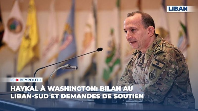 Haykal à Washington: bilan au Liban-Sud et demandes de soutien