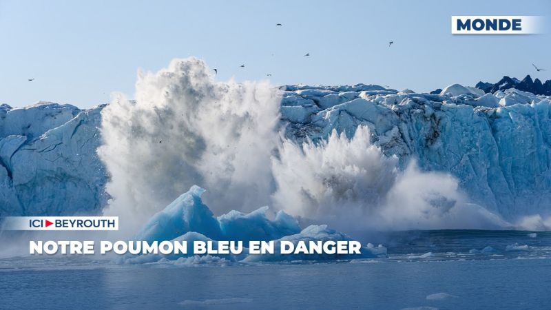 Notre poumon bleu en danger