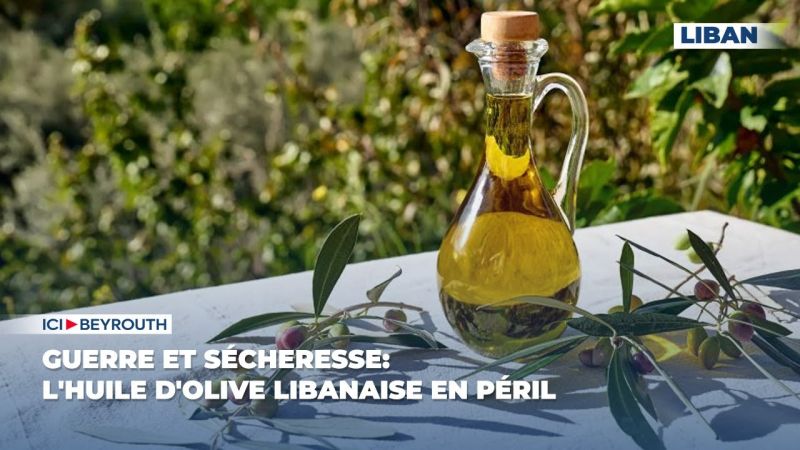 Guerre et sécheresse: l'huile d'olive libanaise en péril