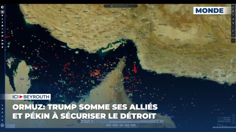 Ormuz: Trump somme ses alliés et Pékin à sécuriser le détroit 