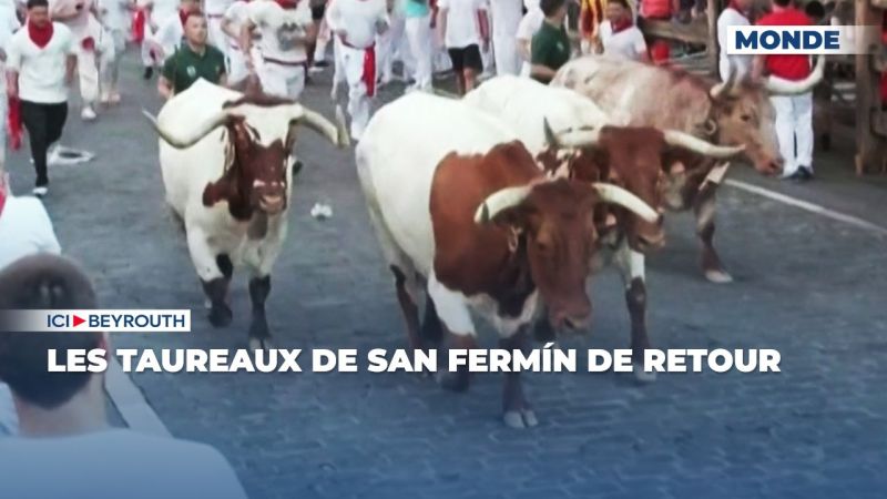 Les taureaux de San Fermín de retour
